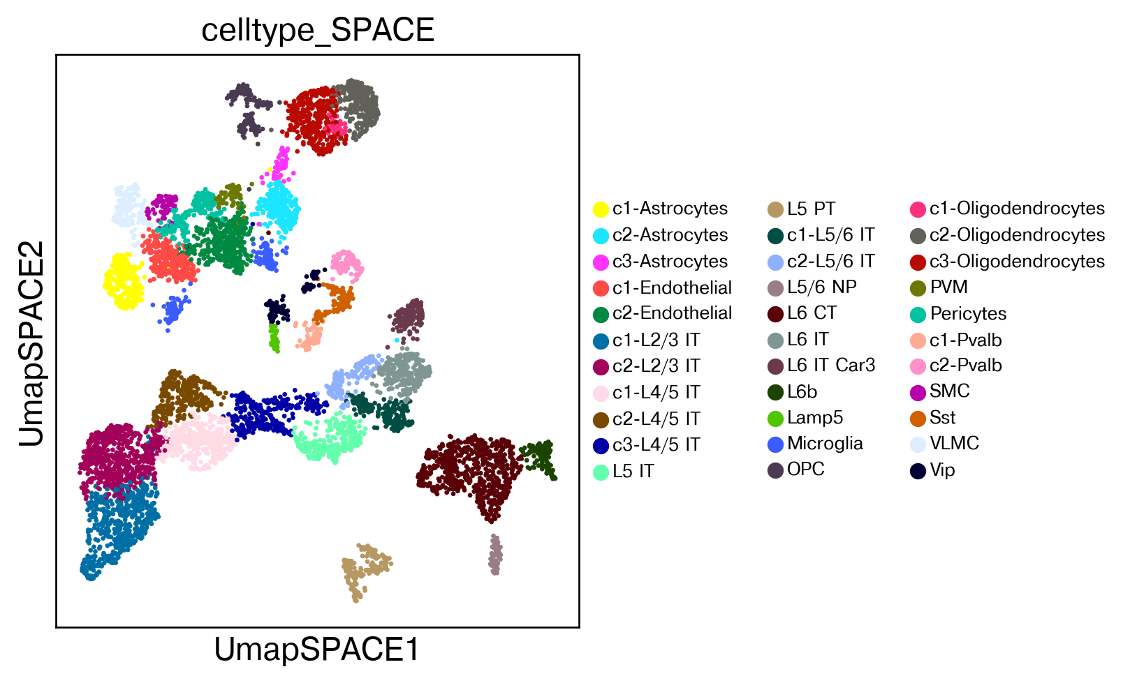 ../_images/tutorial_spatial_celltype_slice153_26_1.png