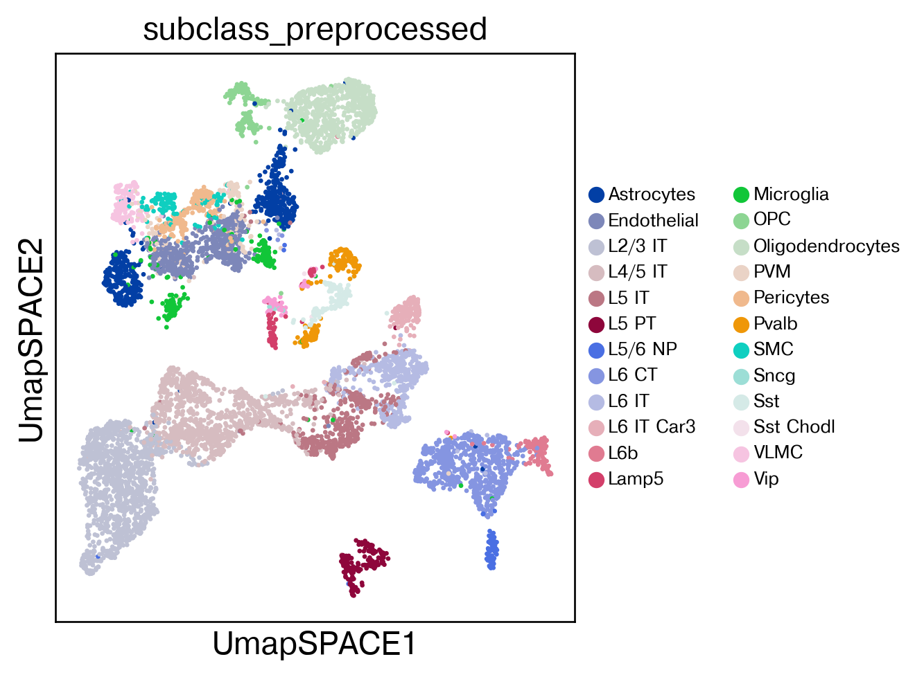 ../_images/tutorial_spatial_celltype_slice153_27_1.png