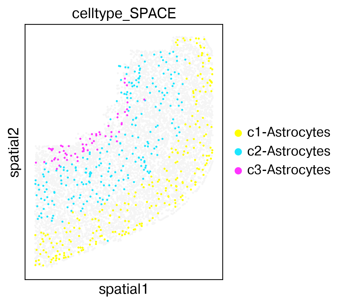 ../_images/tutorial_spatial_celltype_slice153_29_1.png