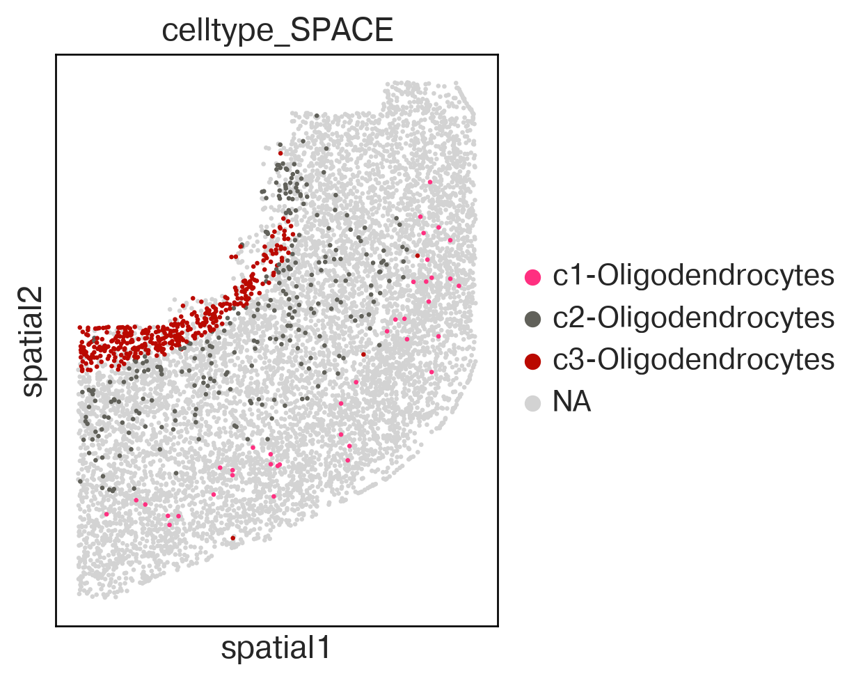 ../_images/tutorial_spatial_celltype_slice153_31_2.png